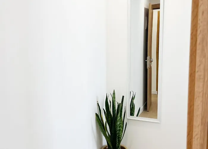 Apartament Sobre El Callejon *